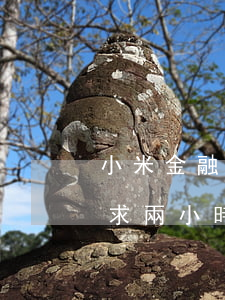 小米金融還款了也逾期(小米金融逾期一天要求兩小時之內(nèi)還款)