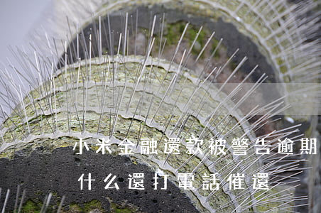 小米金融還款被警告逾期(小米金融沒逾期為什么還打電話催還)