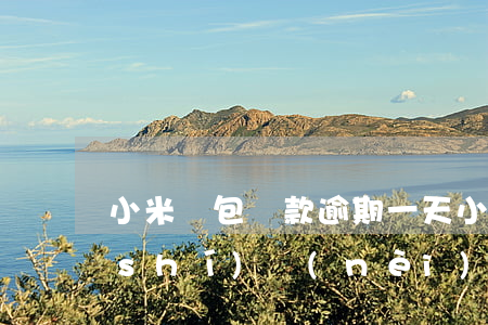 小米錢包貸款逾期一天(小米逾期讓2小時(shí)內(nèi)還款)