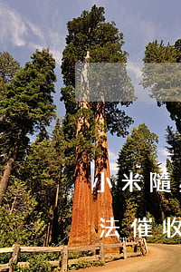 小米隨星借沒有逾期暴力騷擾(小米隨星借 違法催收)