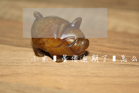 小米隨星借逾期了會怎么辦