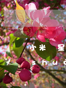 小米隨星借逾期被起訴(小米隨星借逾期說(shuō)要準(zhǔn)備開(kāi)庭)