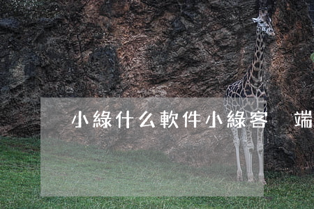 小綠什么軟件(小綠客戶端下載)