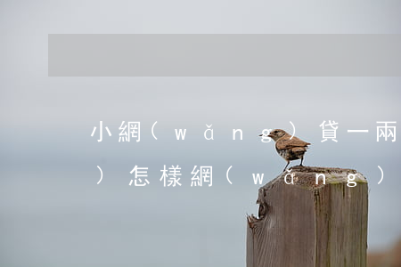 小網(wǎng)貸一兩千不還會(huì)怎樣(網(wǎng)貸一千多不還會(huì)怎樣)