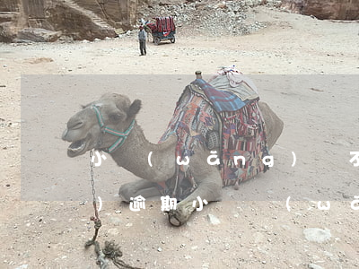 小網(wǎng)貸不下款還說(shuō)逾期(小額網(wǎng)貸逾期)