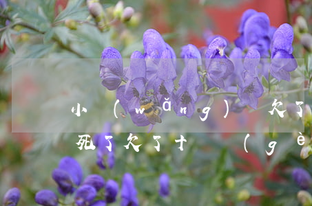 小網(wǎng)貸欠了十幾個(gè)煩死了(欠了十幾個(gè)網(wǎng)貸怎么辦)
