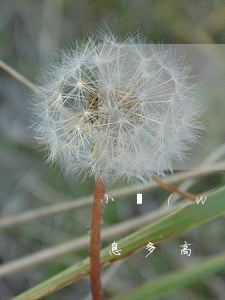 小網(wǎng)貸逾期一個(gè)月利息多高