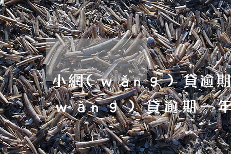 小網(wǎng)貸逾期一年未還款(小網(wǎng)貸逾期一年未還款)