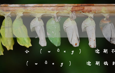 小網(wǎng)貸逾期不還收到律師函(網(wǎng)貸逾期收到律師函了怎么辦)