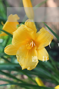 小網(wǎng)貸逾期不還會(huì)遭打嗎(正規(guī)網(wǎng)貸逾期不還的后果)