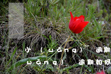 小網(wǎng)貸逾期太多怎么處理(網(wǎng)貸逾期如何處理比較好)
