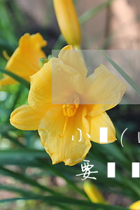 小網(wǎng)貸逾期會(huì)上門要嗎(網(wǎng)貸逾期說要上門是真的嗎)