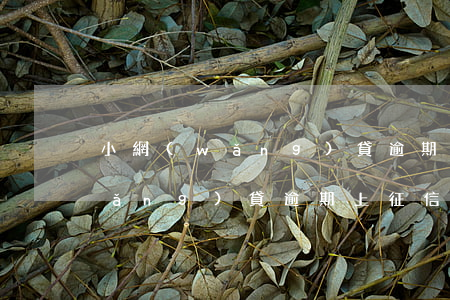 小網(wǎng)貸逾期會上征信嗎(網(wǎng)貸逾期上征信會怎么樣)