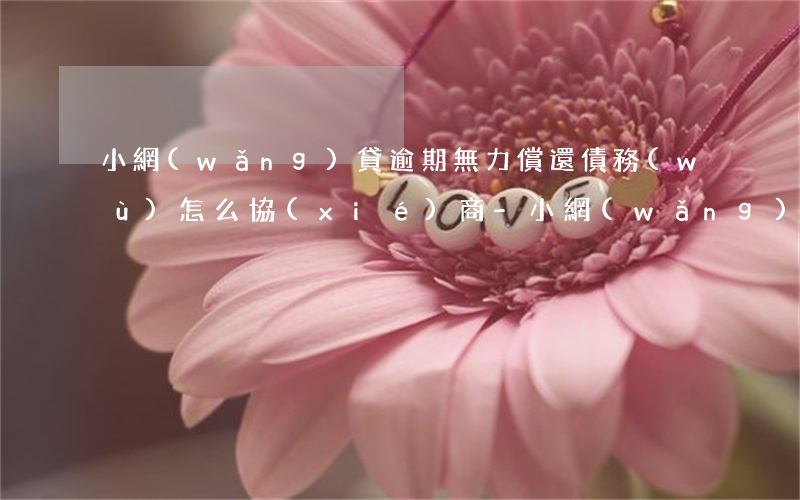 小網(wǎng)貸逾期無力償還債務(wù)怎么協(xié)商-小網(wǎng)貸逾期不還會怎么樣