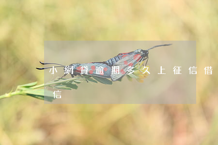 小網貸逾期多久上征信(借網貸逾期多久上征信)