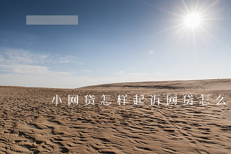小网贷怎样起诉(网贷怎么起诉借款人)