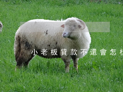 小老板貸款不還會怎樣（老板欠銀行貸款新聞）
