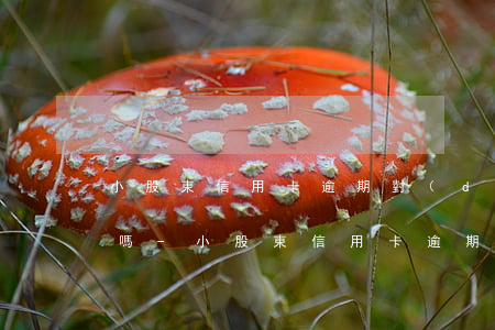 小股東信用卡逾期對(duì)公司有影響嗎-小股東信用卡逾期對(duì)公司有影響嗎知乎