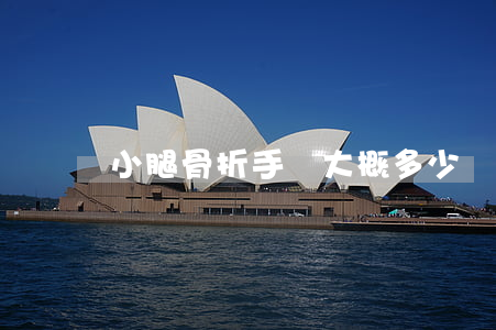 小腿骨折手術大概多少錢