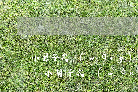 小舅子欠網(wǎng)貸10萬(wàn)(小舅子欠網(wǎng)貸10萬(wàn))
