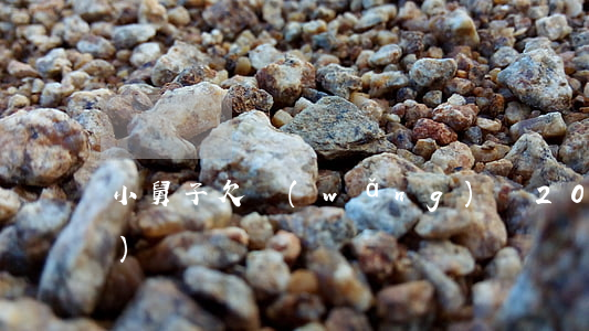 小舅子欠網(wǎng)貸20萬(wàn)