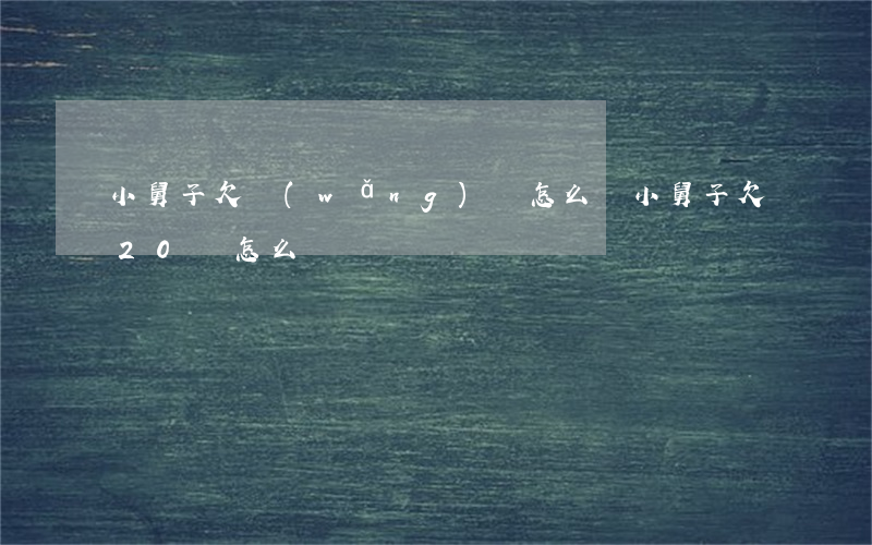 小舅子欠網(wǎng)貸怎么辦(小舅子欠20萬怎么辦)