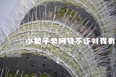 小舅子欠网贷不还对我有影响么