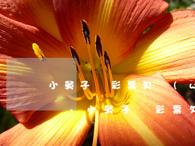小舅子買彩票欠網(wǎng)貸找姐夫借錢-小舅子買彩票欠網(wǎng)貸找姐夫借錢怎么辦