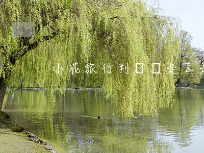 小花旅行判決書是真是假（小花旅行逾期起訴）