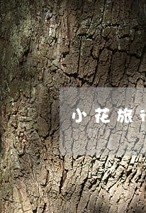 小花旅行逾期法院立案 小花旅行判決書