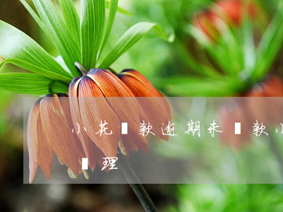 小花貸款逾期未還款(小花逾期收到威脅怎么處理)