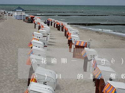 小花逾期一個(gè)月(小花逾期一個(gè)月說的上門催收)