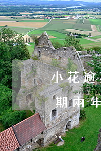 小花逾期五千會(huì)被起訴嘛(小花逾期兩年)
