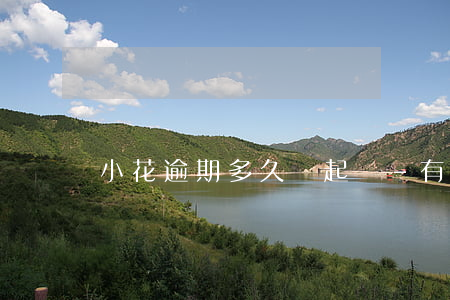 小花逾期多久會起訴-有被小花起訴的嗎