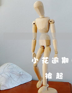小花逾期收到威脅怎么處理（小花逾期半年說會被起訴是真的嗎）