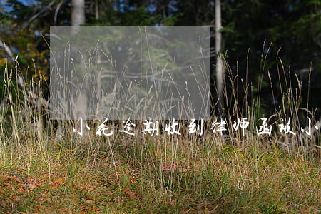 小花逾期收到律师函(被小花钱包寄律师函)
