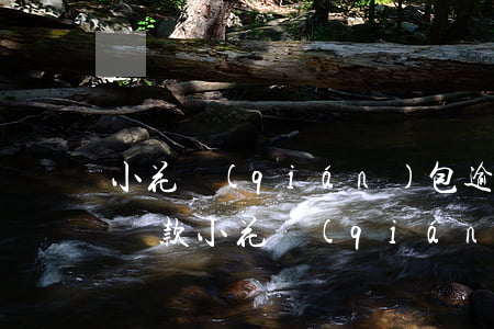 小花錢(qián)包逾期沒(méi)法還款(小花錢(qián)包主動(dòng)還款失敗怎么辦可以報(bào)警嗎)