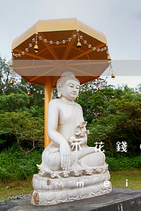 小花錢(qián)包還款了但銀行卡沒(méi)扣錢(qián)-小花錢(qián)包還款了但銀行卡沒(méi)扣錢(qián)怎么辦
