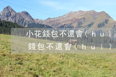 小花錢包不還會(huì)扣信用卡嗎(小花錢包不還會(huì)扣信用卡嗎)