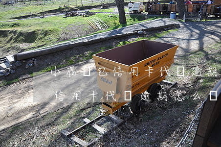 小花錢包信用卡代還逾期怎么辦-小花錢包信用卡代還逾期怎么辦理
