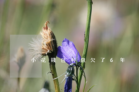 小花錢包利息欠了6年