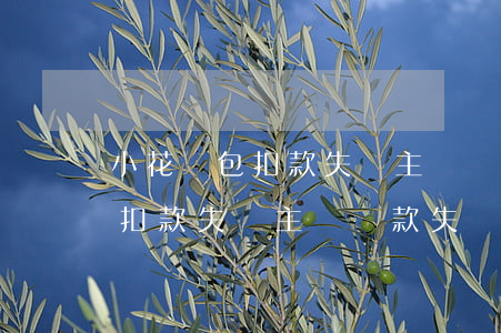 小花錢包扣款失敗主動還款失敗-小花錢包扣款失敗主動還款失敗怎么辦