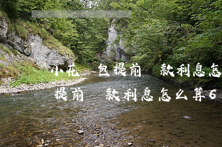 小花錢包提前還款利息怎么算6-小花錢包提前還款利息怎么算60