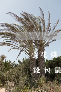小花錢包最長(zhǎng)逾期多久(小花錢包最長(zhǎng)逾期多久會(huì)被起訴)