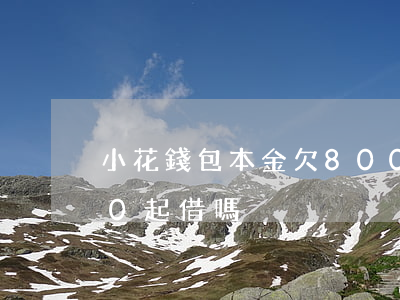小花錢包本金欠8000多(小花錢包1000起借嗎)