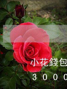 小花錢包欠3600說要上門收(小花錢包借3000還多少)