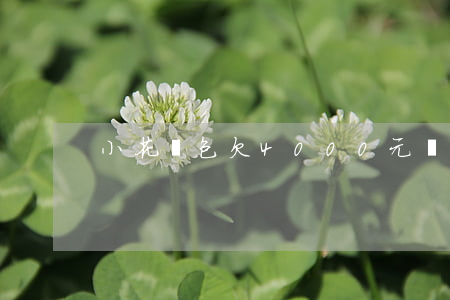 小花錢包欠4000元會上門嗎-