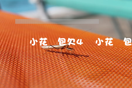 小花錢包欠4萬(小花錢包有沒還的嗎)