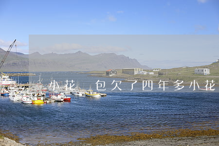 小花錢包欠了四年多(小花錢包三年沒還)