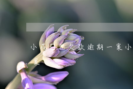 小花錢包欠款逾期一案(小花錢包欠款逾期一案)